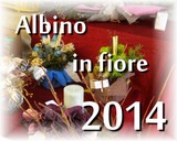 Albino in fiore 2014